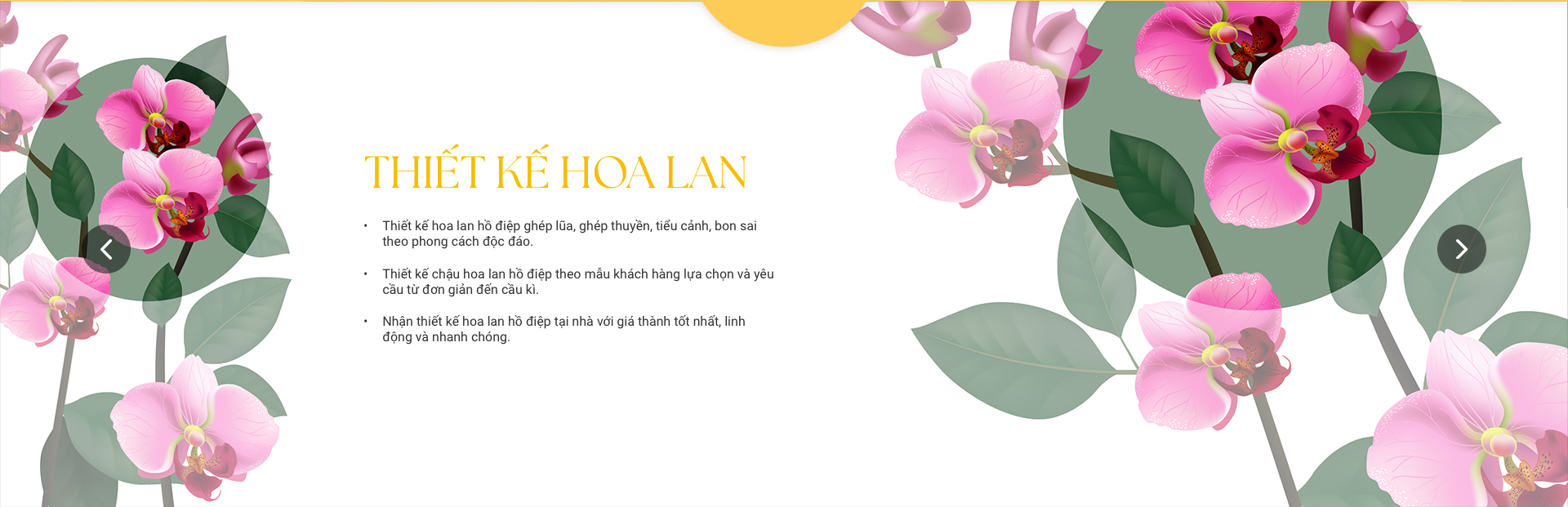 Banner Hoa Lan Xuân Mai