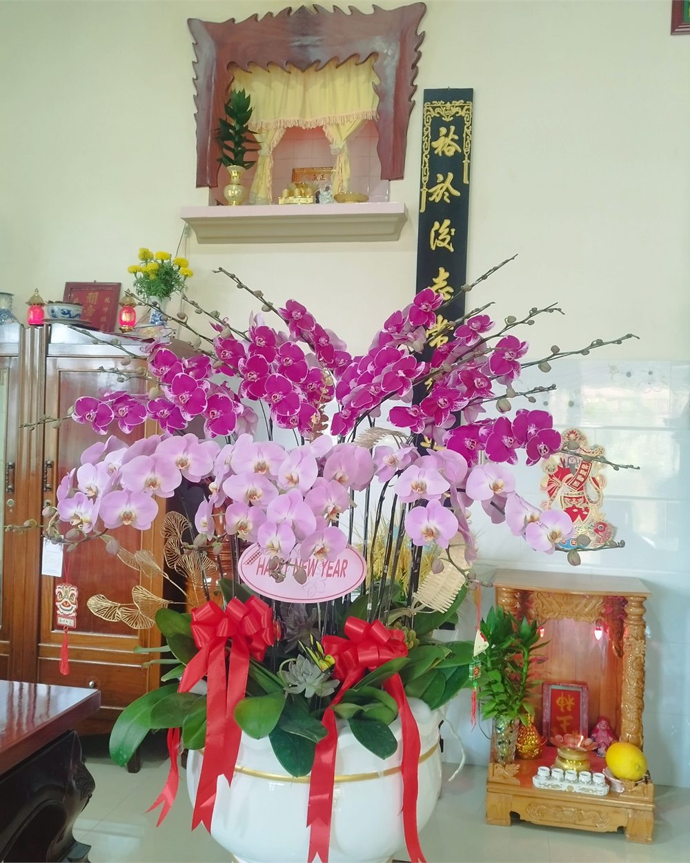 Chậu lan hồ điệp 9 cành Vàng Hoàng Gia